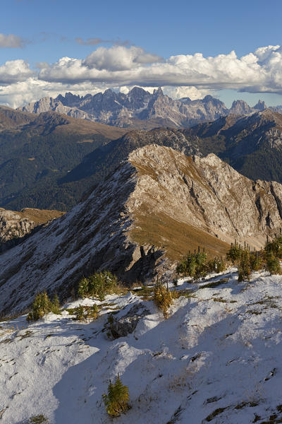 Pale di San Martino Group from Forcella Piccola (Latemar Group), Dolomites, Vigo di Fassa, Trento Province, Trentino, Italy.
