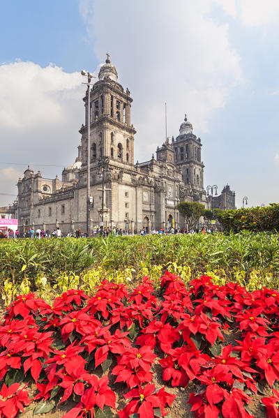 Metropolitan Cathedral in christmas time, Costitution Place, Mexico City, Mexico.