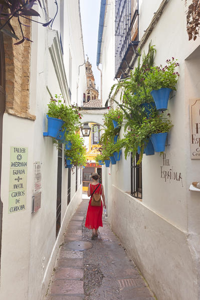 A tourist in Calleja de las Flores, historical centre of Córdoba, Córdoba municipality, province of Córdoba, Andalusia, Spain (MR)