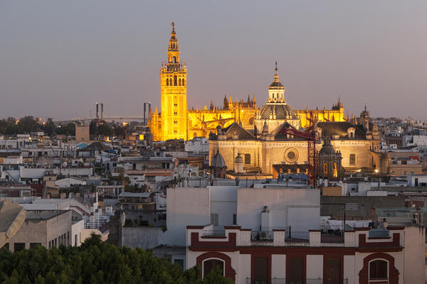 La Giralda and Seville Cathedral from Metropol Parasol, Seville, province of Seville, Andalusia, Spain