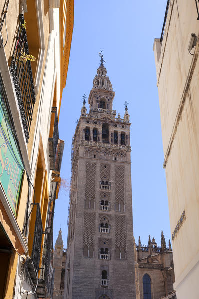 La Giralda bell tower  from an alley of old town, Seville, province of Seville, Andalusia, Spain