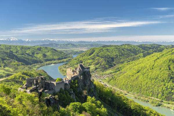 Schoenbühel-Aggsbach, Wachau, district of Melk, Lower Austria, Austria, Europe. The castle ruins of Aggstein and the Danube river