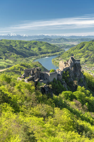 Schoenbühel-Aggsbach, Wachau, district of Melk, Lower Austria, Austria, Europe. The castle ruins of Aggstein and the Danube river