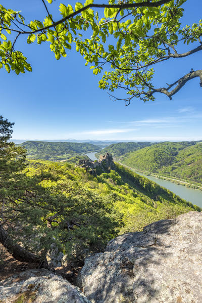Schoenbühel-Aggsbach, Wachau, district of Melk, Lower Austria, Austria, Europe. The castle ruins of Aggstein and the Danube river