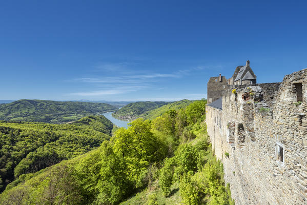Schoenbühel-Aggsbach, Wachau, district of Melk, Lower Austria, Austria, Europe. The castle ruins of Aggstein and the Danube river