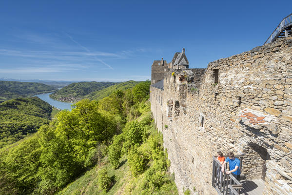 Schoenbühel-Aggsbach, Wachau, district of Melk, Lower Austria, Austria, Europe. The castle ruins of Aggstein and the Danube river (MR)
