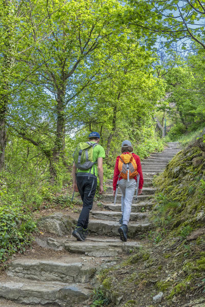 Duernstein, Wachau, Waldviertel,  district of Krems, Lower Austria, Austria, Europe.  Two hikers on the Wachau World Heritage Trail near Duernstein (MR)