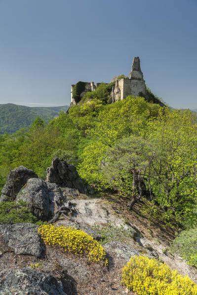 Duernstein, Wachau, Waldviertel,  district of Krems, Lower Austria, Austria, Europe. The castle ruin Duernstein