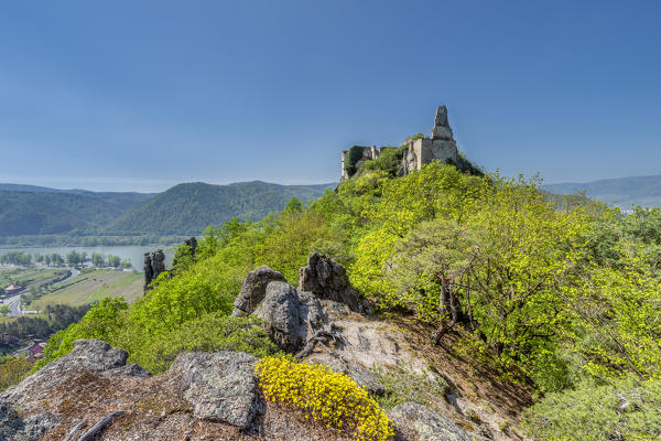 Duernstein, Wachau, Waldviertel,  district of Krems, Lower Austria, Austria, Europe. The castle ruin Duernstein