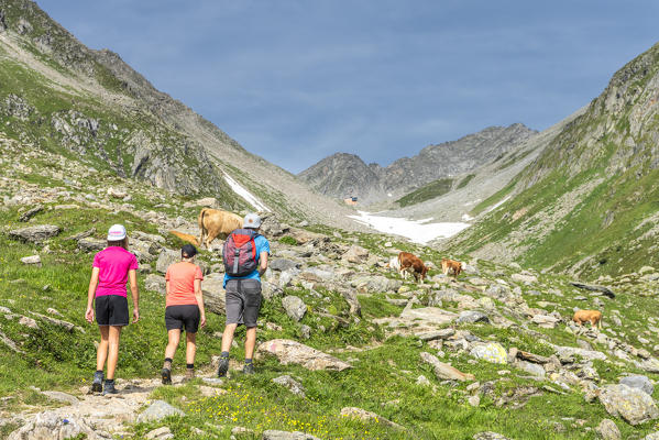 Selva dei Molini, province of Bolzano, South Tyrol, Italy, Europe. Hikers on the trail to the Edelraut refuge (MR)