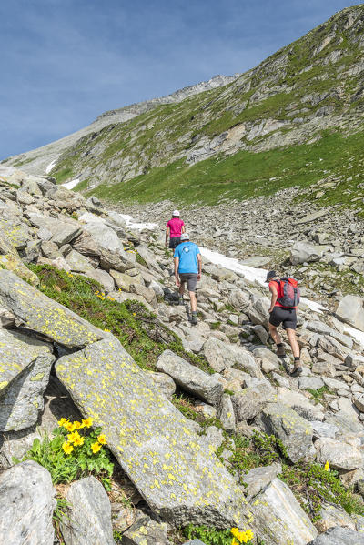 Selva dei Molini, province of Bolzano, South Tyrol, Italy, Europe. Hikers on the trail to the Edelraut refuge (MR)
