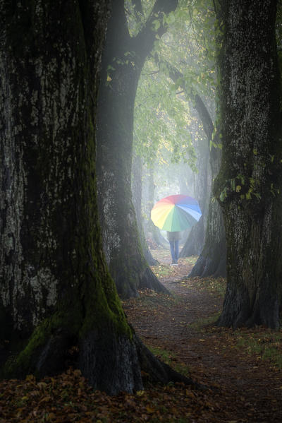 Holzkirchen, Miesbach, Upper Bavaria, Bavaria, Germany, Europe. A girl walks the avenue on a rainy day (MR)