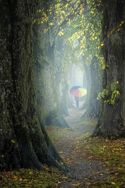 Holzkirchen, Miesbach, Upper Bavaria, Bavaria, Germany, Europe. A girl walks the avenue on a rainy day (MR)