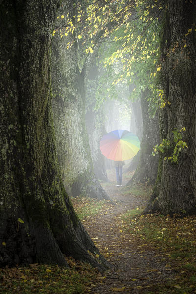 Holzkirchen, Miesbach, Upper Bavaria, Bavaria, Germany, Europe. A girl walks the avenue on a rainy day (MR)