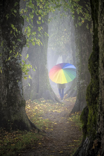 Holzkirchen, Miesbach, Upper Bavaria, Bavaria, Germany, Europe. A girl walks the avenue on a rainy day (MR)