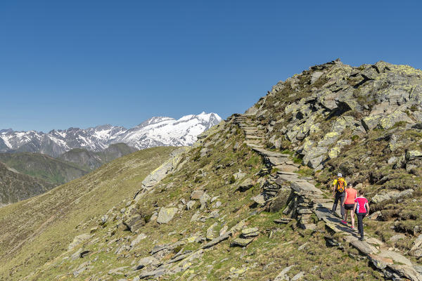 Sand in Taufers / Campo Tures, Bolzano province, South Tyrol, Italy. On the panoramic trail Speikboden with the peaks of Hoher Weisszint and Hochfeiler in the background