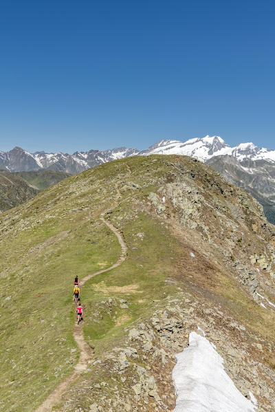 Sand in Taufers / Campo Tures, Bolzano province, South Tyrol, Italy. On the panoramic trail Speikboden with the peaks of Hoher Weisszint and Hochfeiler in the background