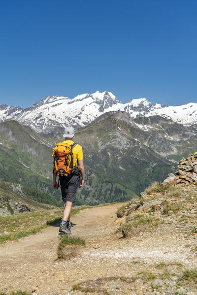 Sand in Taufers / Campo Tures, Bolzano province, South Tyrol, Italy. On the panoramic trail Speikboden with the peaks of Hoher Weisszint and Hochfeiler in the background