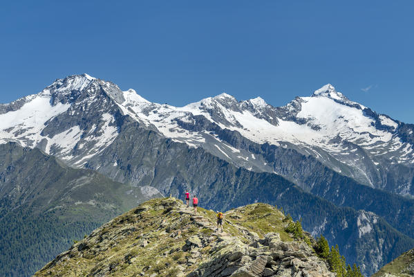 Sand in Taufers / Campo Tures, Bolzano province, South Tyrol, Italy. On the panoramic trail Speikboden with the peaks of Schwarzenstein and Löffler in the background