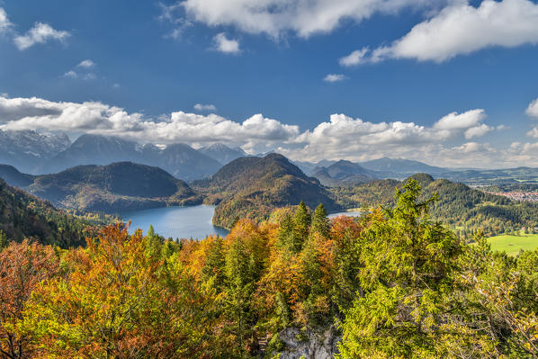 Schwangau, district Ostallgäu, Swabia, Bavaria, Germany, Europe. Alp lake and Swan lake