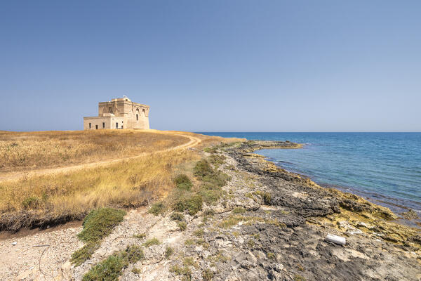 Carovigno, Brindisi province, Apulia, Italy. The Guaceto tower in the Nature reserve of Torre Guaceto is located on the Adriatic coast