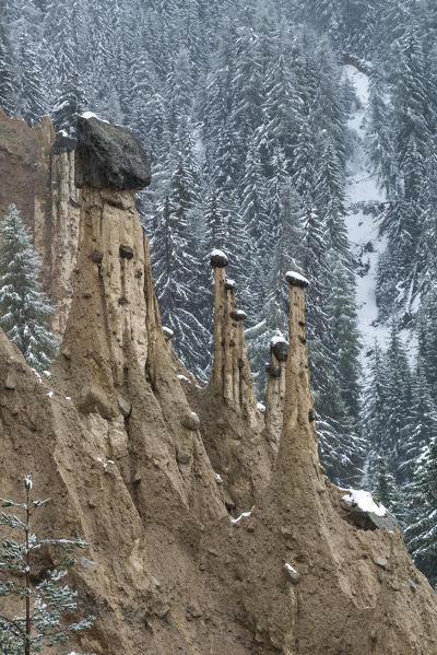 Perca/Percha, South Tyrol, Italy. The Earth Pyramids