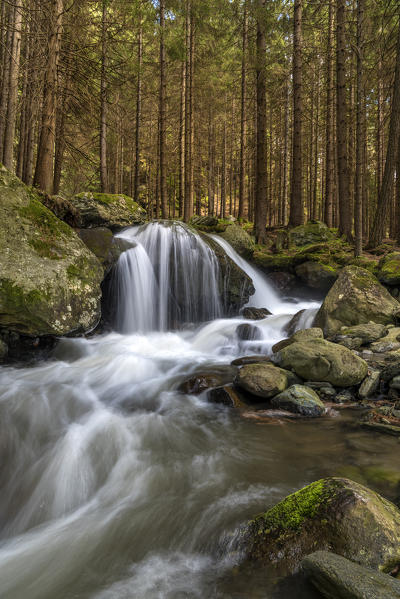 Lutago/Luttach, Aurina Valley, South Tyrol, Italy. The Pojen creek in the Aurina Valley