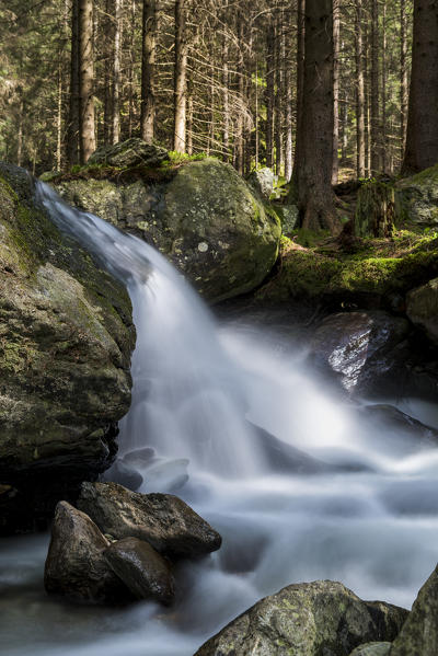 Lutago/Luttach, Aurina Valley, South Tyrol, Italy. The Pojen creek in the Aurina Valley