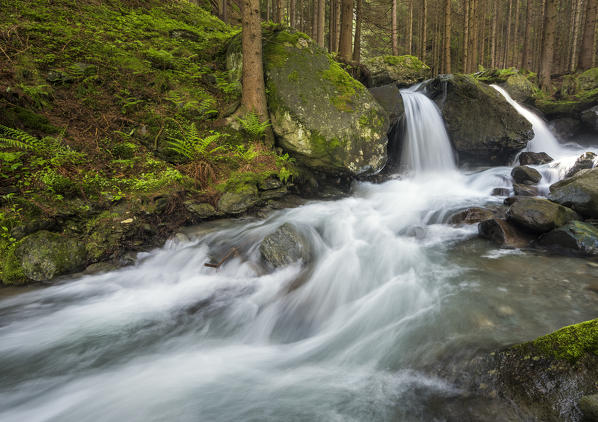 Lutago/Luttach, Aurina Valley, South Tyrol, Italy. The Pojen creek in the Aurina Valley