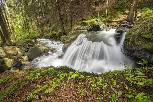 Lutago/Luttach, Aurina Valley, South Tyrol, Italy. The Pojen creek in the Aurina Valley