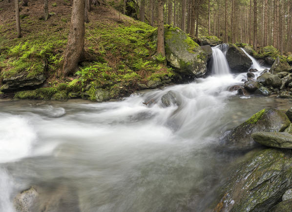 Lutago/Luttach, Aurina Valley, South Tyrol, Italy. The Pojen creek in the Aurina Valley