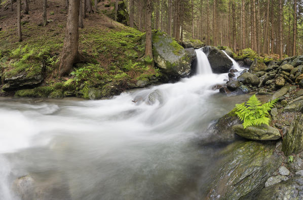 Lutago/Luttach, Aurina Valley, South Tyrol, Italy. The Pojen creek in the Aurina Valley