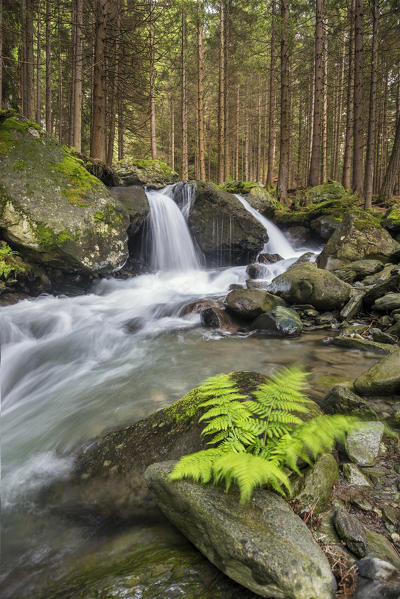 Lutago/Luttach, Aurina Valley, South Tyrol, Italy. The Pojen creek in the Aurina Valley