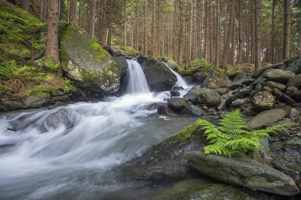 Lutago/Luttach, Aurina Valley, South Tyrol, Italy. The Pojen creek in the Aurina Valley