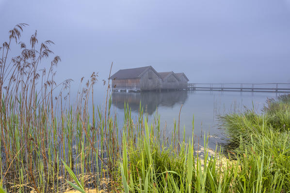 Schlehdorf, Kochel Lake, Bad Tölz-Wolfratshausen district, Upper Bavaria, Germany, Europe. Three boathouses in the Kochel Lake in the early morning
