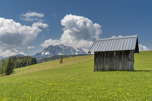 Mittenwald, district of Garmisch-Partenkirchen, Upper Bavaria, Germany, Europe. View from the hummocky meadows to the  Wetterstein mountains
