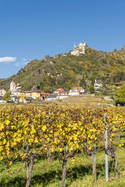 Duernstein, Wachau, Waldviertel, district of Krems, Lower Austria, Austria, Europe. Duernstein with the castle ruins