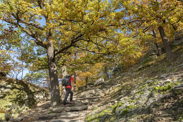 Duernstein, Wachau, Waldviertel, district of Krems, Lower Austria, Austria, Europe.  A hiker on the Wachau World Heritage Trail near Duernstein (MR)