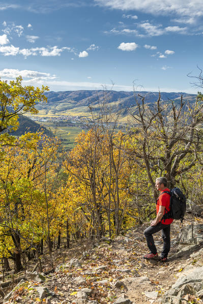 Duernstein, Wachau, Waldviertel, district of Krems, Lower Austria, Austria, Europe.  A hiker on the Wachau World Heritage Trail near Duernstein