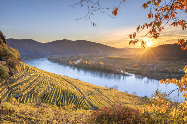 Weissenkirchen in der Wachau, Wachau, Waldviertel, district of Krems, Lower Austria, Austria, Europe. Sunrise in the vineyards near Weissenkirchen in der Wachau, view to the Danube river and the villages  of Rossatz and Dürnstein