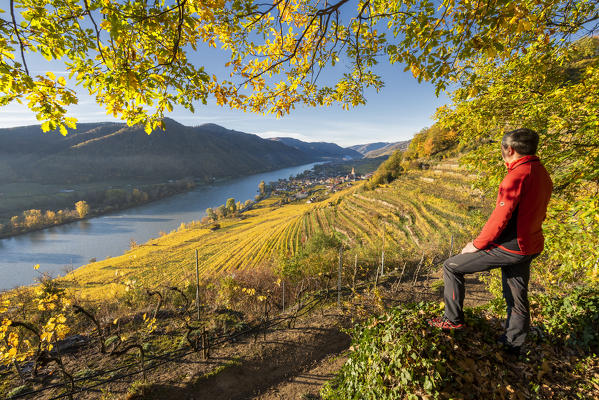 Weissenkirchen in der Wachau, Wachau, Waldviertel, district of Krems, Lower Austria, Austria, Europe. View from the Wachau World Heritage Trail to the village of Weissenkirchen in der Wachau