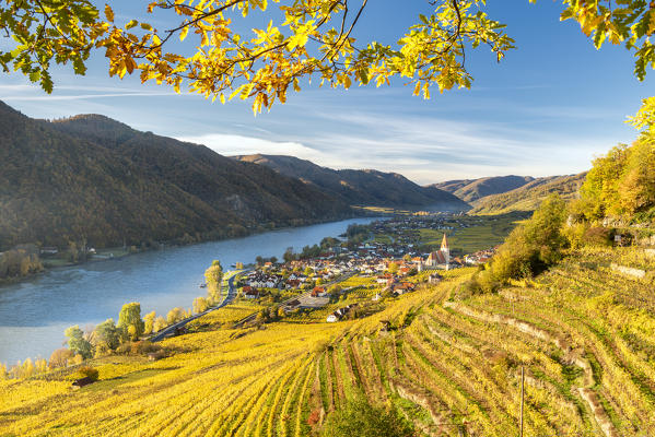 Weissenkirchen in der Wachau, Wachau, Waldviertel, district of Krems, Lower Austria, Austria, Europe. View from the vineyards to the village of Weissenkirchen in der Wachau