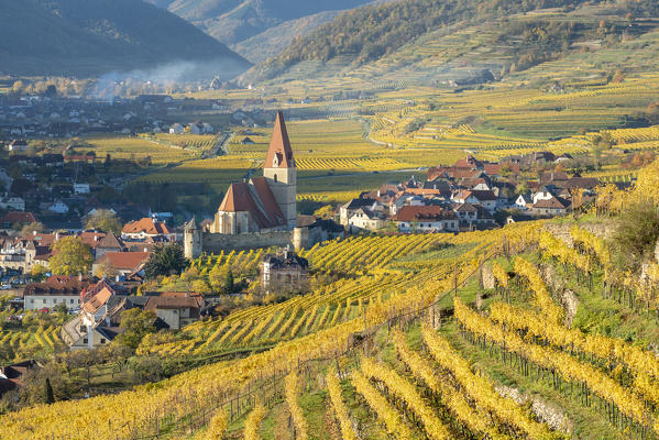 Weissenkirchen in der Wachau, Wachau, Waldviertel, district of Krems, Lower Austria, Austria, Europe. View from the vineyards to the village of Weissenkirchen in der Wachau