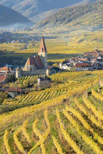Weissenkirchen in der Wachau, Wachau, Waldviertel, district of Krems, Lower Austria, Austria, Europe. View from the vineyards to the village of Weissenkirchen in der Wachau