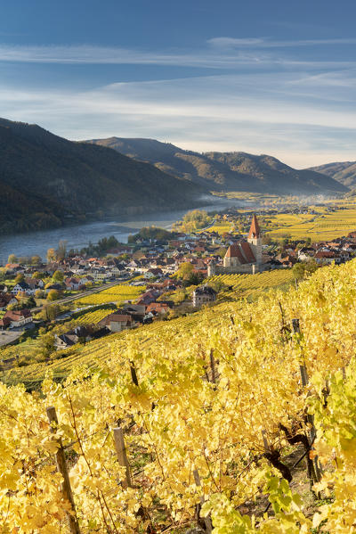 Weissenkirchen in der Wachau, Wachau, Waldviertel, district of Krems, Lower Austria, Austria, Europe. View from the vineyards to the village of Weissenkirchen in der Wachau
