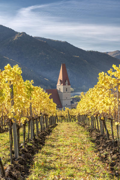 Weissenkirchen in der Wachau, Wachau, Waldviertel, district of Krems, Lower Austria, Austria, Europe. 
