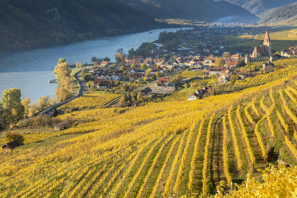 Weissenkirchen in der Wachau, Wachau, Waldviertel, district of Krems, Lower Austria, Austria, Europe. View from the vineyards to the village of Weissenkirchen in der Wachau