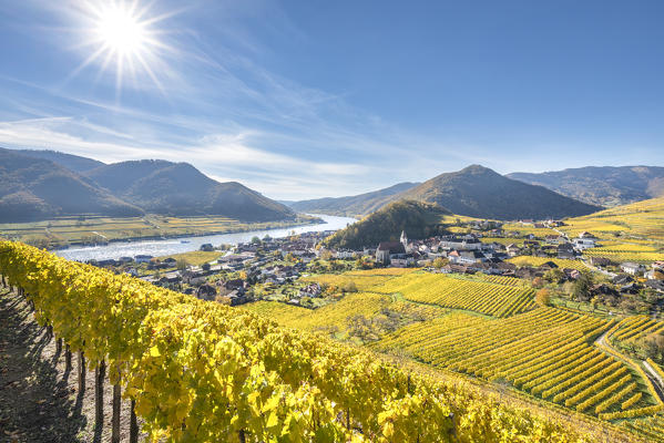 Spitz an der Donau, Wachau, Waldviertel, district of Krems, Lower Austria, Austria, Europe. View from the vineyards to the village of Weissenkirchen in der Wachau
