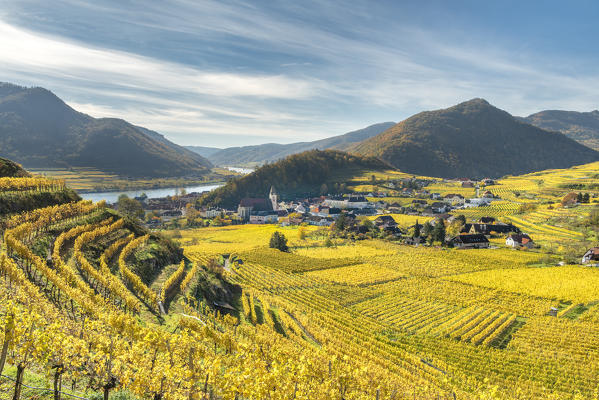 Spitz an der Donau, Wachau, Waldviertel, district of Krems, Lower Austria, Austria, Europe. View from the vineyards to the village of Weissenkirchen in der Wachau