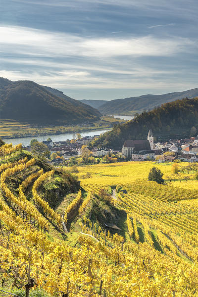 Spitz an der Donau, Wachau, Waldviertel, district of Krems, Lower Austria, Austria, Europe. View from the vineyards to the village of Weissenkirchen in der Wachau